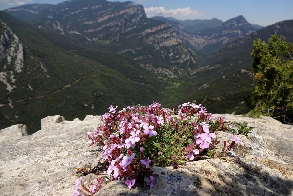 赫罗纳Pont De Valenti Mountain Retreat公寓 外观 照片