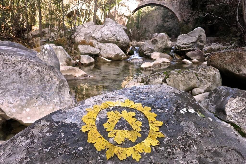 赫罗纳Pont De Valenti Mountain Retreat公寓 外观 照片