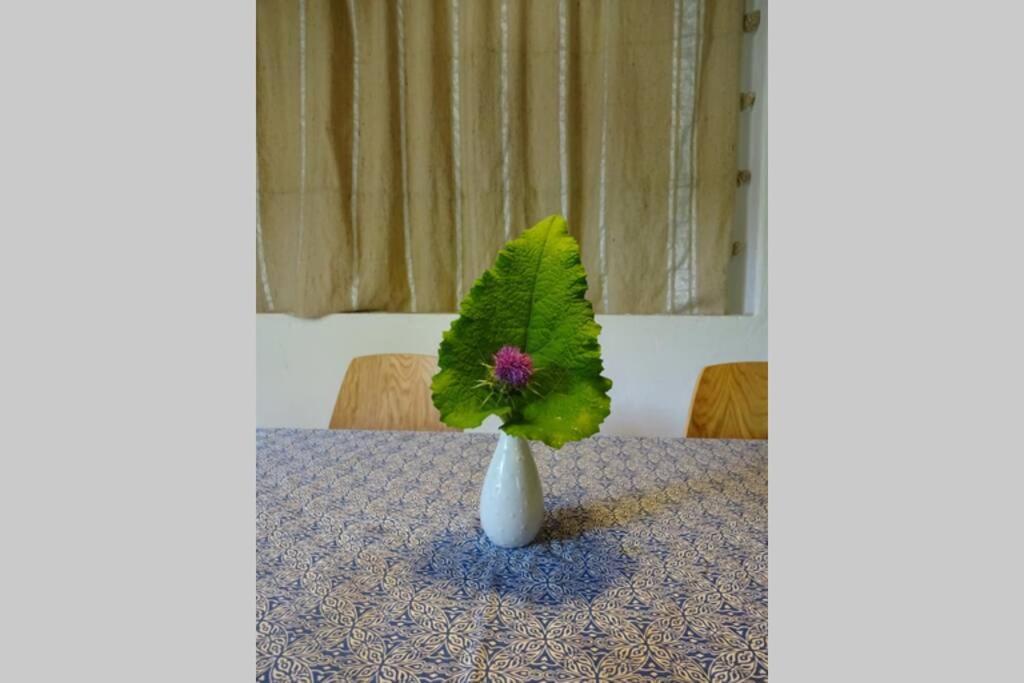 赫罗纳Pont De Valenti Mountain Retreat公寓 外观 照片