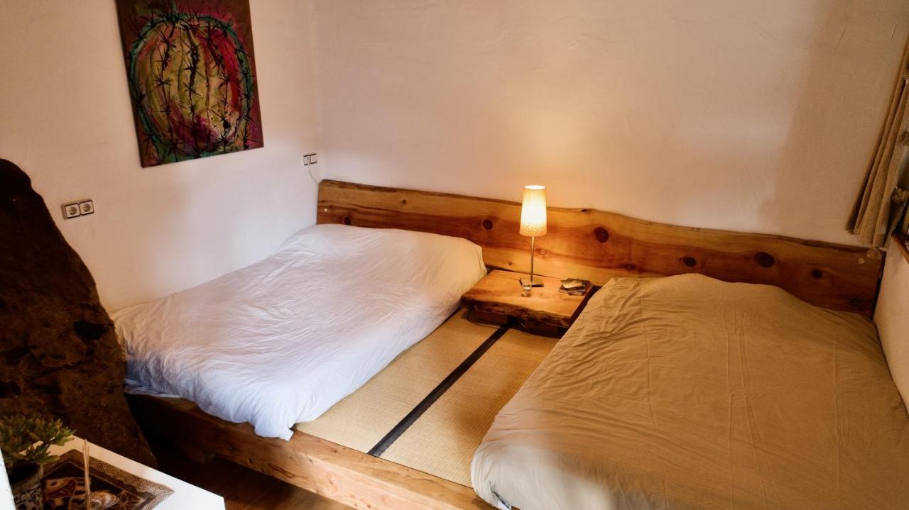 赫罗纳Pont De Valenti Mountain Retreat公寓 外观 照片